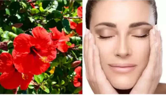 इन फूलों का  इस्तेमाल करके आप भी अपने चेहरे को , इनकी तरह खिला सकती है पढ़िए अभी लेख में 